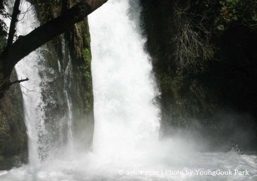 baniasfall